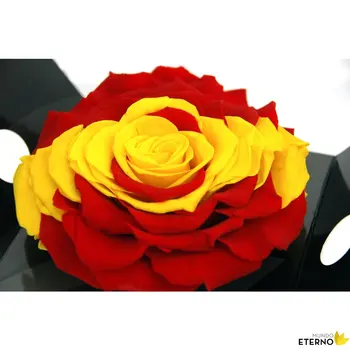 

World eternal Eternal Rose preserved Spain 15cm diameter