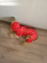 Raincoat Chihuahua Waterproof Summer Puppy Dogs Reflective for Small Nylon Ropa Perro