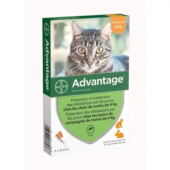 

ADVANTAGE 40 - 4 pipettes-worming-For cats and rabbits less than 4 kg