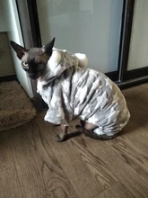 Autumn Winter Warm Pet Cat Costume for Cats Soft Fleece Dog Cat Clothes Kedi Katten Mastomas