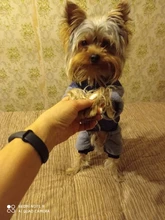 Jumpsuit Dogs Winter New for Jacket Pet-Coat Hooded Warm Thickening