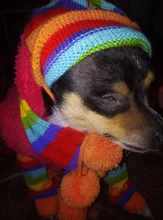 Pet-Puppy-Accessories Socks Hats Cat-Products Dogs-Knitted Small Chihuahua Little Winter