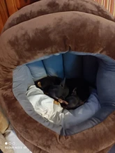 Cama blanda para mascotas, almohadilla tipo saco de dormir, para un invierno cálido y acogedor, en 3 colores, ideal para gatos y perros, tienda, cueva, casa, perrera, 2 tamaños S y L