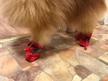 Pet-Dog-Shoes Snow-Boots Dogs-Socks Puppy Anti-Slip Small Waterproof Winter Footwear