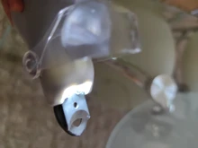 Perro tijeras de uñas para uñas Clippers de aseo de tijeras para garras de gato y perro productos con luz Led de tijeras de uñas SD