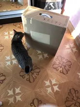 Robot-Vacuum-Cleaner Sweep Roborock E4 Automatically-Charge And Wet 200mins App-Control