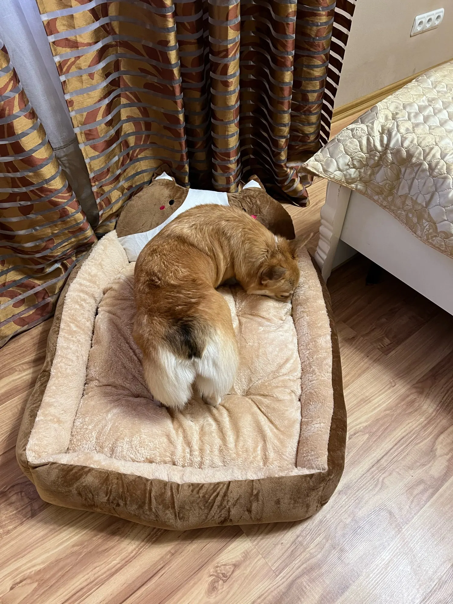 MEGA™ 3D Cute Dog Bed | Pretty Dog Beds | Cute Dog Beds for Small & Medium Dogs photo review