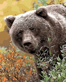 

Painting by numbers Standard: Brown bear