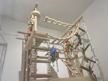 Bird Parrot Toys Cage-Supplies Ladders Perches Cockatiels Wooden Climbing Hanging-Swing-Hammock