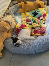 Manta superFranela suave para mascotas, cama gruesa para cojín de perro, toalla de ducha para cachorro, alfombra bonita para el hogar, cubierta cálida para dormir, suministros para mascotas