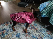 Coat Jacket Vest Bulldog-Clothing Puppy Dogs-Chihuahua French Waterproof Large Winter