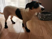 4 unidades/juego de zapatos para mascota de perro de lluvia, botines de goma antideslizantes portátiles, impermeables, zapatos de lluvia para perros y gatos, otoño e invierno, S/M/L/XL