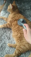 Kimpets-peine para gato, peine para pelo de gato, aguja especial, limpiador de pelo de gato, productos de limpieza y belleza