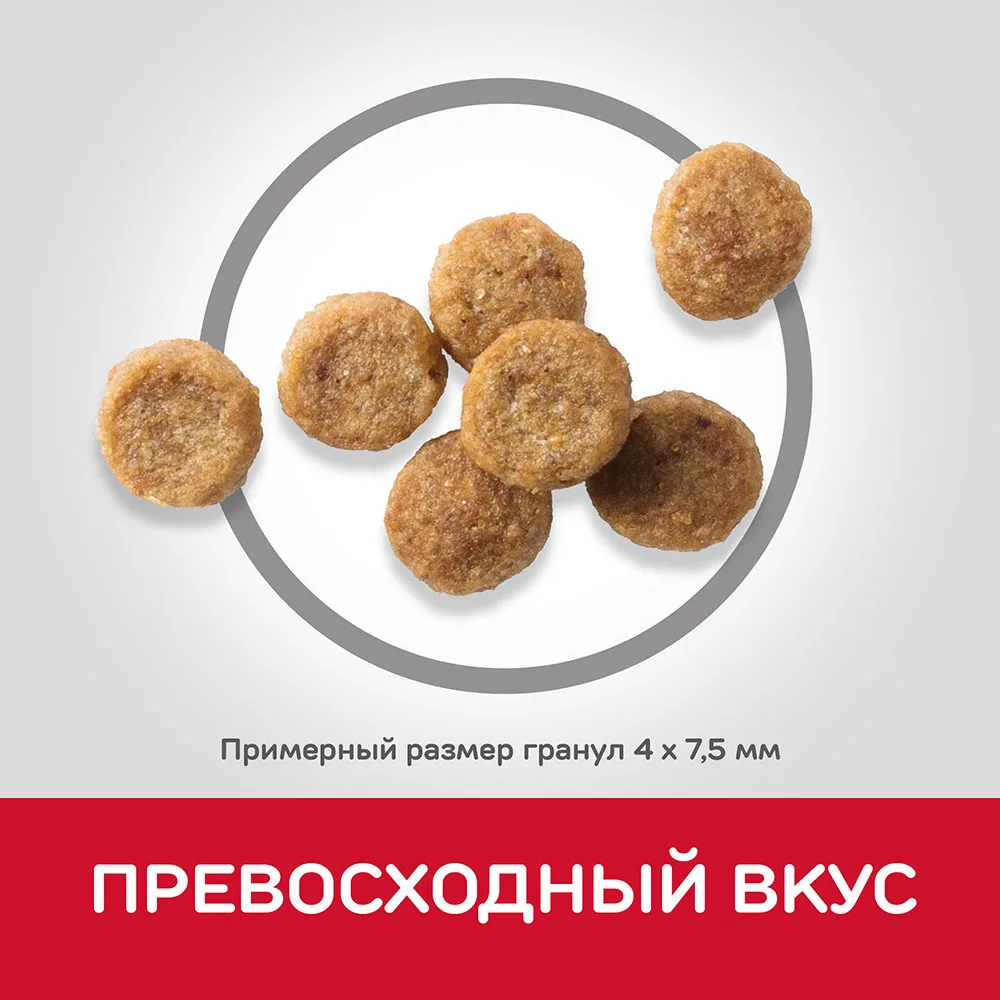 Hill's Science Plan Youthful Vitality сухой корм для собак мелких пород старше 7 лет с курицей и рисом 2,5кг