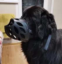 Hocico del perro transpirable cesta bozales pequeño mediano para perros perro máscara Anti-mordedura ladrando de productos para entrenamiento de mascotas