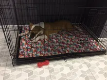 Cama grande para perro, colchoneta de espuma viscoelástica, transpirable, colchón ortopédico de fondo Oxford, para mascota mediana grande pequeña