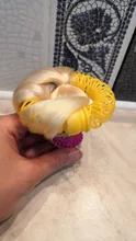 Muñecas con pelo originales de LOL Surprise para niños, Muñecas sorpresa con accesorios para niño, regalo de cumpleaños