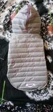 Jacket Outfit Coat Teddy Dogs Chihuahua Winter Hooded Puppy-Cat Small Medium Warm 