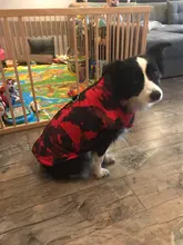 Vest Coat Jacket Pet-Dog-Clothes French-Bulldog-Pet Dogs Small Waterproof Large Winter