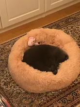 Cat Bed Calming-Bed Pet-Kennel Sofa Cat-Mat Small Dog Round Comfortable Super-Soft