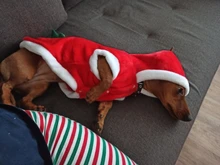 Christmas Dog Clothes Small Dogs Santa Costume for Pug Chihuahua Yorkshire Pet Cat Clothing