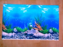 Sticker Poster Backdrop Aquarium-Decoration Fish-Tank Sea-Plants 3D Double-Sided-Ocean