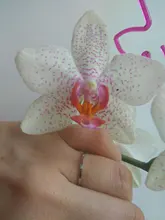 Anillo de titanio y acero fino para hombre y mujer, anillo de dedo de color dorado, rosa, moda Simple, Color plateado, 1MM