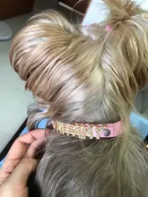 DIY Bling Personalized Dog Collar Rhinestones Leather Free Name Small Medium Pet