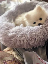 Pet bed for dog donut bed plush cat bed accessories kennels for dogs mascotas productos