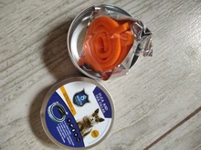 Collar que elimina pulgas y garrapatas para perros y gatos, repelente de mosquitos e insectos, Collar para gatos de pulga y garrapata de hasta 8 meses