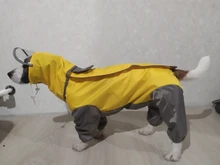 Mono impermeable para perro mascota, ropa impermeable para exteriores, mono con capucha para perros pequeños y grandes, capa impermeable, Bulldog francés