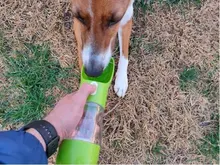 Botella de agua portátil para perros, alimentador de agua potable para mascotas, tazón de viaje al aire libre, cuencos para mascotas