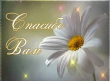 Head Yoga-Slippers Ballet-Dance-Shoes Teacher Canvas Gym USHINE Girls Kids Woman Indoor