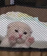 OMHXZJ-pendientes de aro de Plata de Ley 925 para mujer, mujer, niña, fiesta, boda, hombre, Simple y redondo, EA450, venta al por mayor