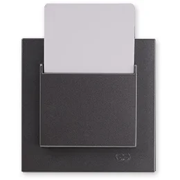 

PnpnElectrıc Gns Eqona Metallic Smoked Gray Energy Saver Standard