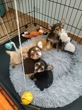 FortyLions-Cama larga de felpa para perros y gatos, cojín largo de felpa super suave y esponjoso para mascotas, cómoda para casa