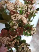 Gypsophila Rose Wedding-Decoration Fake-Flowers Eucalyptus Green-Leaves Flores with 