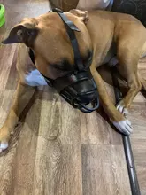 Bozal de silicona suave para perros pequeños, medianos, grandes y x-grandes, cesta transpirable, para mordeduras y ladridos