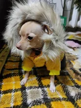 Ropa de invierno para mascotas, chaqueta cálida gruesa para perros pequeños y grandes, abrigo impermeable para cachorros, Chihuahua, Pug, Bulldog francés