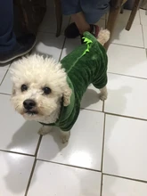 Ropa para perros pequeños y medianos, con dinosaurio de terciopelo, gruesa y cálida, De Cuatro Piernas, ropa para perros y gatos