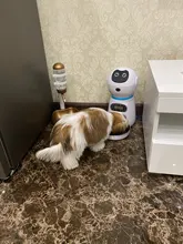 new Pet Feeder Pet Dispenser For Cat And Dog Travel Supply Automatic Smart slow Feeder