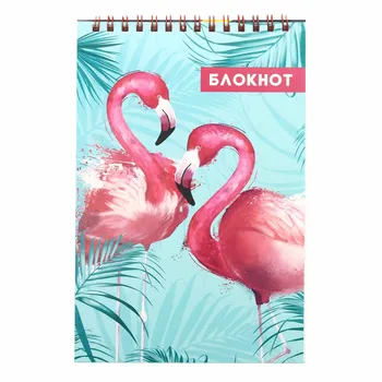 

4594660 A5 40 L notebook on the comb of the calligrata 'Flamingo 1'