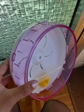 Oso dorado para mascotas, juguete deportivo para mascotas, jaula con ruedas, accesorios, disco de competición, rueda giratoria silenciosa para trotar, WJ901