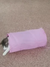 Cat Tunnel Balls Tubes Kitten-Toys Crinkle Puppy-Ferrets Pet Rabbit Play Funny 2-Holes