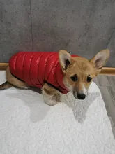 Vest Dog Jacket French Bulldog Waterproof Coat Pet-Outfit Dogs-Pet Winter Large Medium