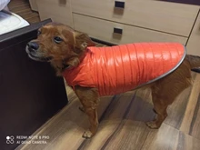 Dog-Down-Jacket French-Bulldog-Vest Pet-Chihuahua-Coat Dogs Reflective Reversible Winter