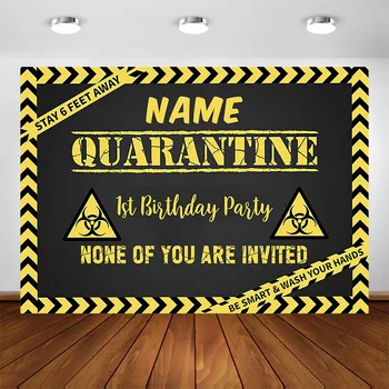 

Quarantine Birthday Party Backdrop Virtual Zoom Hangout Quarantine Distancing Birthday Party No One Decoration Banner Background