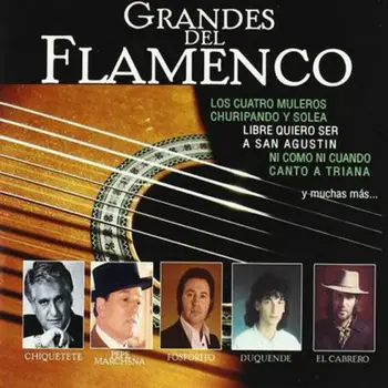 

GRANDES DEL FLAMENCO - 5 CDS