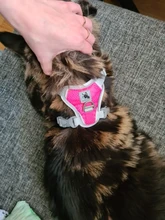 Harness Vest Pet-Products Collar Soft-Lining Walking-Training Reflective Adjustable Small