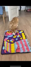 Blanket Activity-Mat Feeding-Mat Puzzle Dog-Snuffle-Mat Foraging Nosework Food-Training